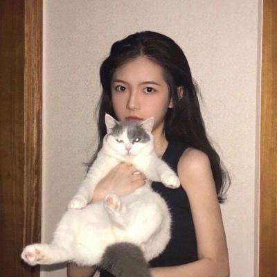 少年勇者团九游版下载